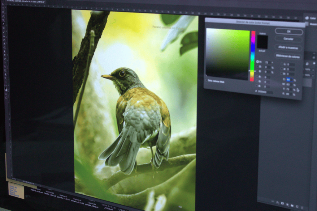 Manejo de los colores RGB a CMYK en impresión