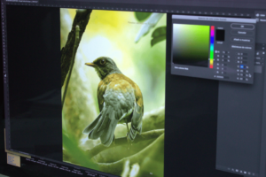 Manejo de los colores RGB a CMYK en impresión