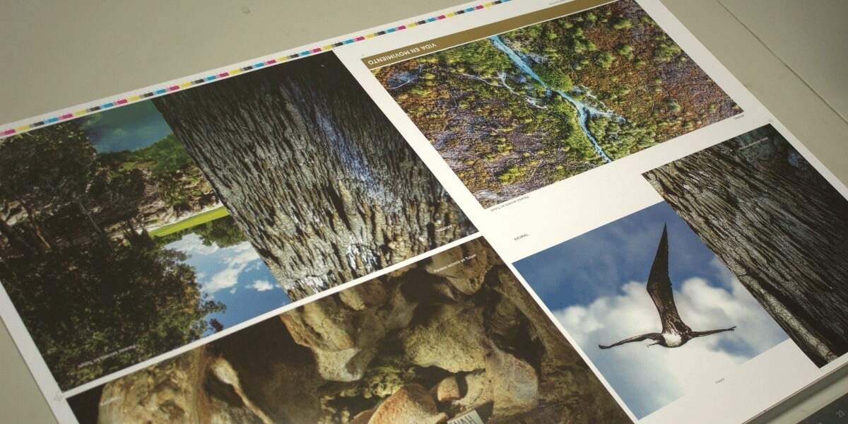 Imagen de prueba de impresión offset con fotografías de naturaleza y paisajes a todo color, mostrando la calidad en acabados y control de color en los servicios editoriales de Grupo Regio.