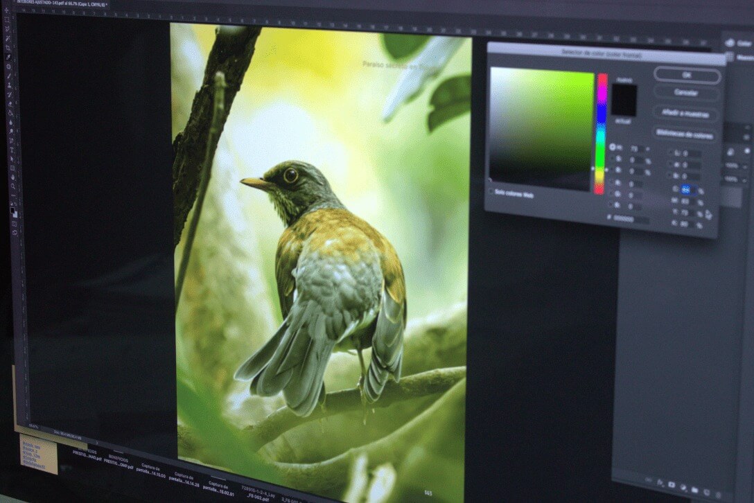 El Uso de Colores <br> RGB a CMYK en los Proyectos de Impresión de Grupo Regio